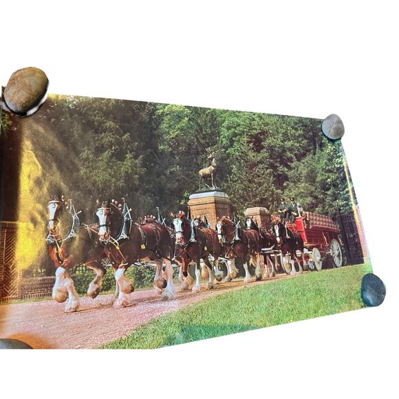 Official Budweiser Clydesdales Poster Anheuser-Busch St Louis Beer Horse Print - Picture 1 of 7